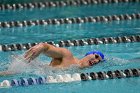 Swimming & Diving vs RWU  Swimming & Diving vs Roger Williams University. - Photo by Keith Nordstrom : Wheaton, Swimming